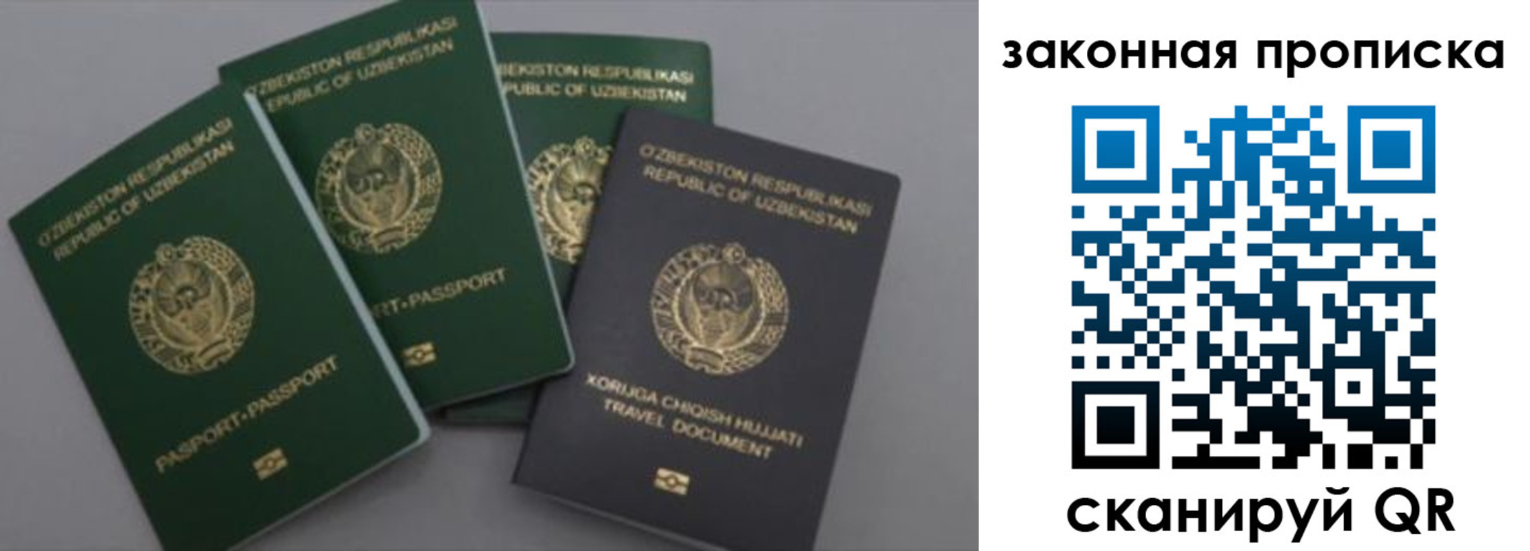 прописка законно в Зеленогорске